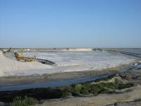 gal/2009 mai - Camargue/_thb_P1010046.JPG